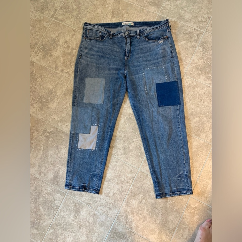 Anthropogie Pilcro Jeans 20w with embellishments.